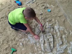 A fényképet készítette: Tamás Borsos