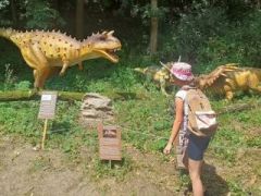 A fényképet készítette: Jakaboczki Jozsef