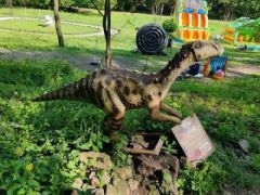 A fényképet készítette: Jakab Jani